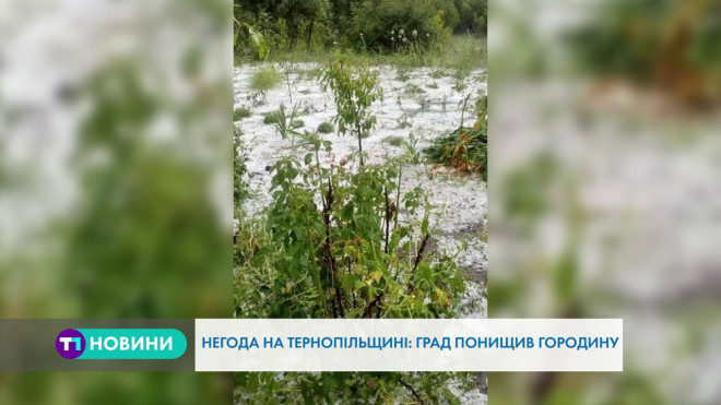 Негода цими вихідними вирувала на Тернопільщині (Відео)