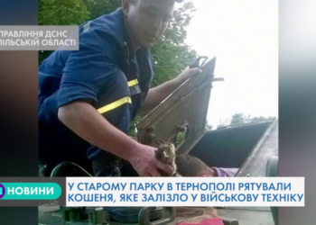 За допомогою спецспорядження відкрили люк бронетранспортера та врятували кошеня у Тернополі