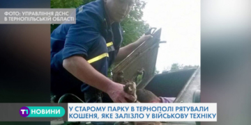 За допомогою спецспорядження відкрили люк бронетранспортера та врятували кошеня у Тернополі
