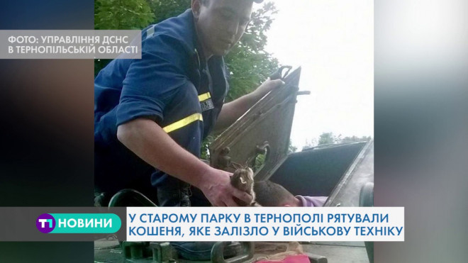 За допомогою спецспорядження відкрили люк бронетранспортера та врятували кошеня у Тернополі