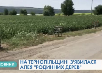 Алея “родинних дерев” з’явилася у Тернопільській області