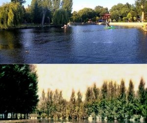 Як століття тому виглядало відоме озерце у Тернополі?