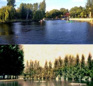 Як століття тому виглядало відоме озерце у Тернополі?