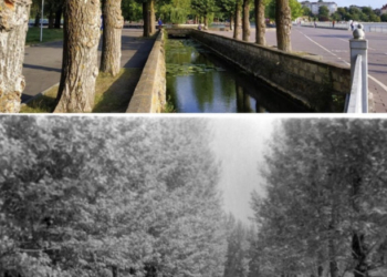 Світлини тернопільського парку понад 50-річної давності показали у мережі