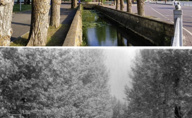 Світлини тернопільського парку понад 50-річної давності показали у мережі