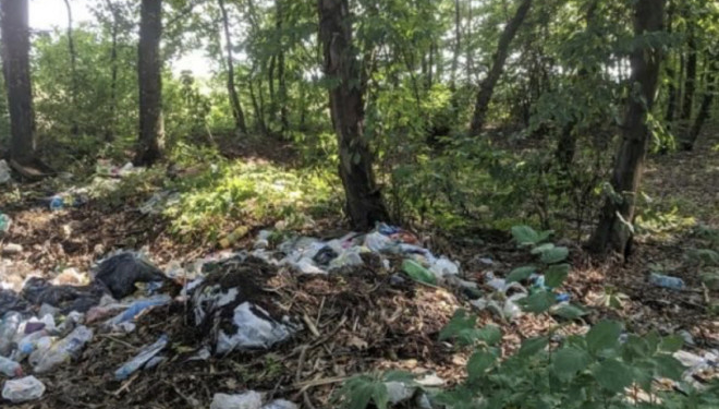 “Гори сміття” – у соцмережі показали як виглядає ліс неподалік одного з найкрасивіших водоспадів Тернопільщини