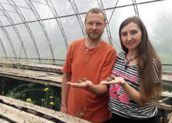 Молода сім’я з Тернопільщини продає власно вирощених равлики по усій Європі