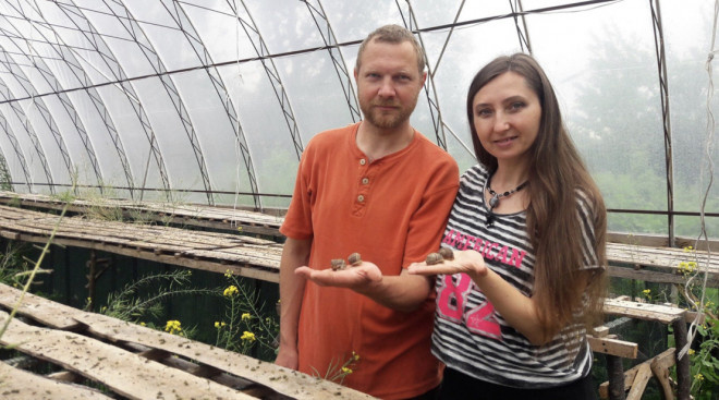 Молода сім’я з Тернопільщини продає власно вирощених равлики по усій Європі