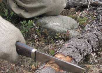 “Взявся за сокиру”: як син заможних батьків з Тернопільщини вирішив стати дроворубом