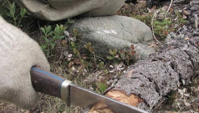 “Взявся за сокиру”: як син заможних батьків з Тернопільщини вирішив стати дроворубом