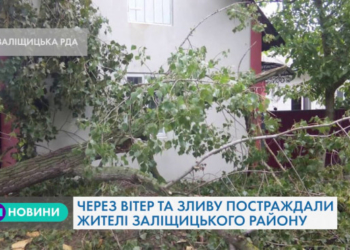 Негода на Тернопільщині: найбільше постраждали жителі Заліщицького району