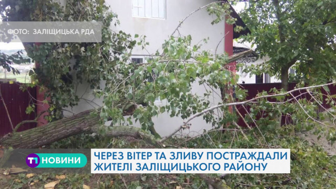 Негода на Тернопільщині: найбільше постраждали жителі Заліщицького району