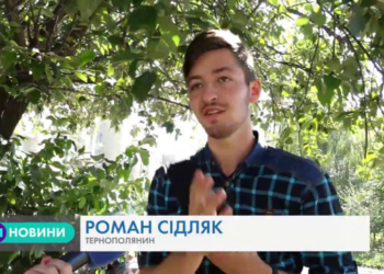 “Зрізані дерева залишали посеред тротуару”, – тернополяни обурені діями землевласника