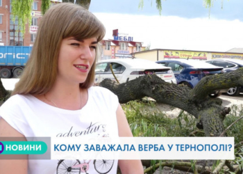 “Під’їхало  четверо чоловіків без розпізнавальних знаків і зрубали дерево”, – тернополяни