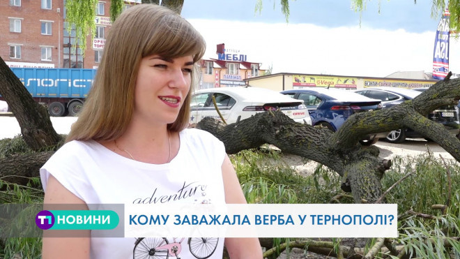 “Під’їхало  четверо чоловіків без розпізнавальних знаків і зрубали дерево”, – тернополяни