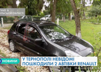 В Тернополі невідомі пошкодили два автомобілі марки RENAULT