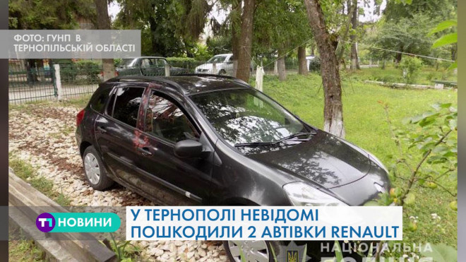 В Тернополі невідомі пошкодили два автомобілі марки RENAULT