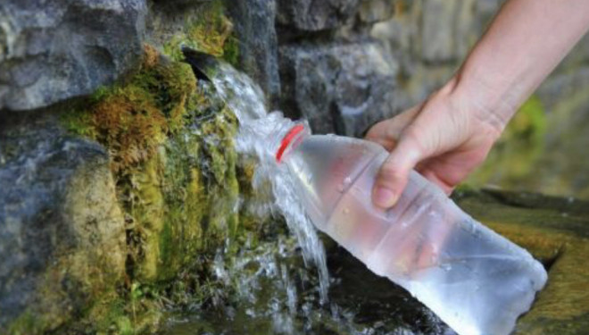 У джерелі поблизу Тернополя знайшли кишкову паличку