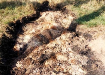 На Тернопільщині горять поклади торфу