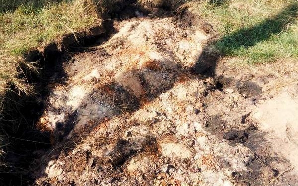 На Тернопільщині горять поклади торфу