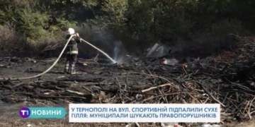 В дворі у Тернополі трапилася пожежа