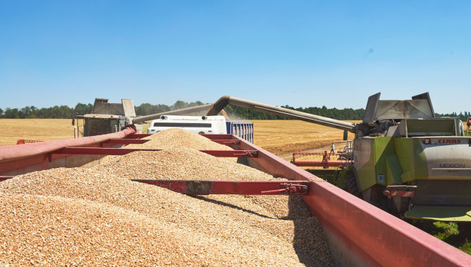 «Контінентал» зібрав урожай ранніх зернових