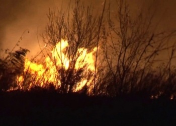 Жителі Тернопільщини геть втратили здоровий глузд?