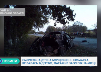 Смертельна ДТП у Борщівському районі на Тернопільщині (Відео)