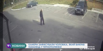 Тварини у добрі руки: тернополяни можуть задарма взяти домашнього улюбленця