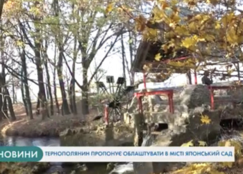 Тварини у добрі руки: тернополяни можуть задарма взяти домашнього улюбленця