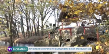 Тварини у добрі руки: тернополяни можуть задарма взяти домашнього улюбленця