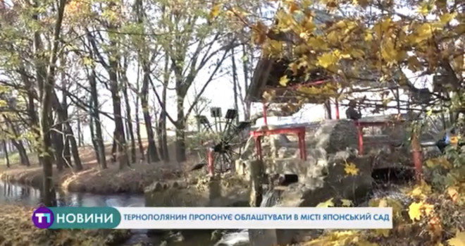 Тварини у добрі руки: тернополяни можуть задарма взяти домашнього улюбленця