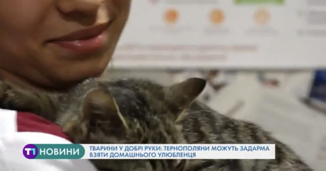 Тварини у добрі руки: тернополяни можуть задарма взяти домашнього улюбленця