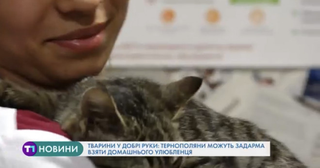 Тварини у добрі руки: тернополяни можуть задарма взяти домашнього улюбленця