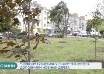 Тернопіль стане ще зеленішим: на майдані Волі висадили нову алею дерев