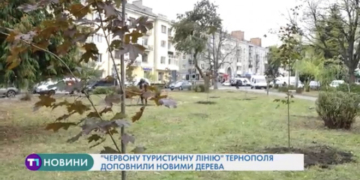 Тернопіль стане ще зеленішим: на майдані Волі висадили нову алею дерев