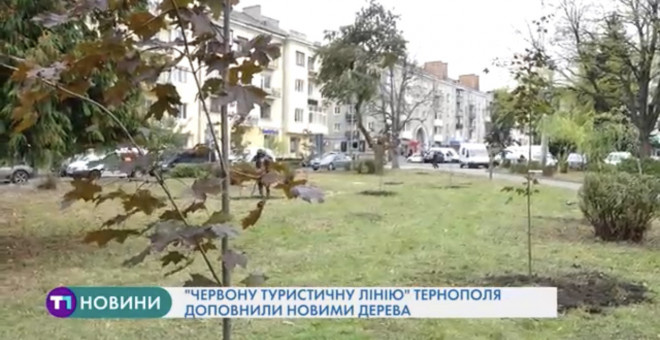 Тернопіль стане ще зеленішим: на майдані Волі висадили нову алею дерев