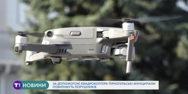 Тварини у добрі руки: тернополяни можуть задарма взяти домашнього улюбленця