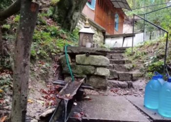 Посеред лісу на Тернопільщині є цілюще джерело