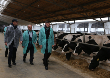 Незвичний початок робочого дня заступника міністра на Тернопільщині (фото)