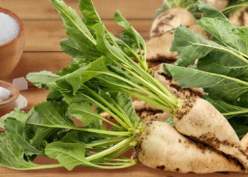 Чи подорожчає на Тернопільщині цукор?