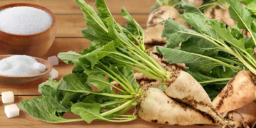 Чи подорожчає на Тернопільщині цукор?