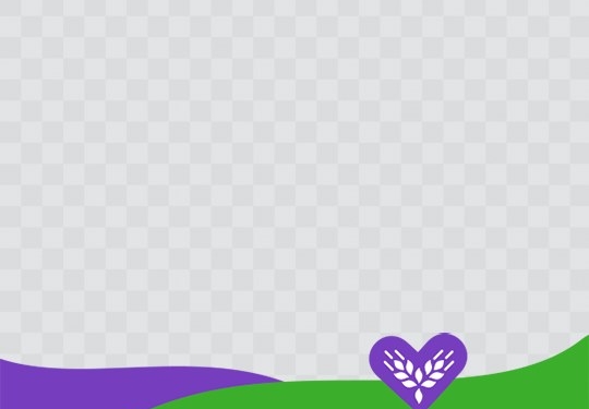 На Тернопільщині стартує дивовижний флешмоб #закоханіуполе