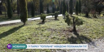 Як вандали нищать особливі місця в Тернополі (Відео)