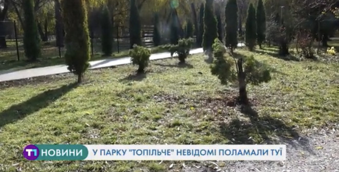 Як вандали нищать особливі місця в Тернополі (Відео)