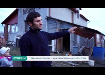 Переполох у Мишковичах: серед ночі в людей роздерли кролів та курей (Відео)