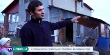 Переполох у Мишковичах: серед ночі в людей роздерли кролів та курей (Відео)