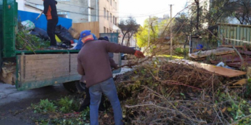 Тернополяни вкотре під своїми вікнами роблять стихійне сміттєзвалище (фотофакт)