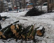 У Тернополі тривають роботи по санітарній обрізці дерев
