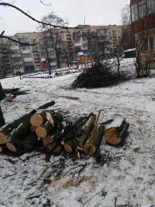 У Тернополі тривають роботи по санітарній обрізці дерев